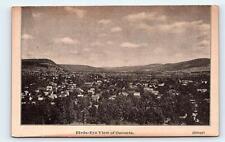 ONEONTA, NY New York~ BIRD'S EYE VIEW Chamber of Commerce BOOSTER c1910sPostcard picture