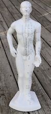 Acupuncture Points & Meridians Porcelain Male Human Anatomy 22” Model picture