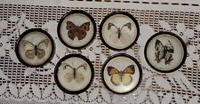 Vintage Mid Centry Enesco Taxidermy Butterflies - Framed ( SET OF 6 ) picture