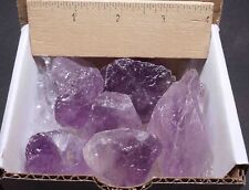 Amethyst Box 1/2 Lb Natural Bright Purple Crystal Chunks Gemstone Raw Specimens picture