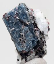 Rare KYANITE Specimen Gemmy Crystal Cluster ALMANDINE GARNET Mineral RUSSIA picture