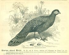 1874 Stories about Birds/Animals PEACOCK PHEASANT & YAK Vintage Print Ad SV4. picture