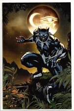Ultimate Black Panther #1 2 3 MAIN Cover A B C D E F Variant YOU CHOOSE 2024 picture