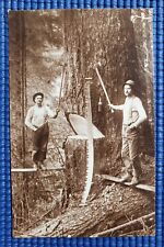 Vtg Harvesting the Mighty Douglas Fir Logging Gray's Harbor Washington Postcard picture