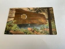 Cuyahoga Falls, Ohio ~ Old Maid’s Kitchen - The gorge- - 1911 Antique Postcard picture