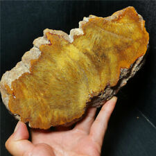 TOP 387G Natural Golden Hair Rutilated Agate Crystal Flat Healing R306 picture