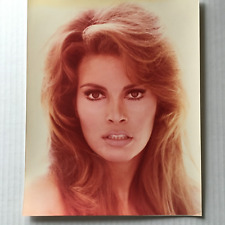 Raquel Welch Photo 8 x 10 Color Glossy Sexy  picture