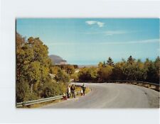 Postcard Curve of Highway Fundy National Park New Brunswick Canada picture