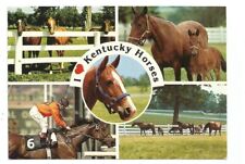KY Postcard Kentucky Horses Souvenir picture