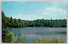 Postcard - Conasauga Lake, near Ellijay, Georgia - ca. 1950s/60s, Unposted (Q36) picture