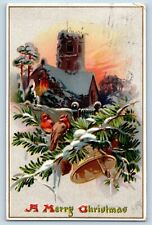 Geneva New York NY Postcard Christmas Birds Bell Pinecone Winter 1909 Antique picture