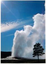 Postcard Old Faithful at Yellowstone National Park in Wyoming, WY picture