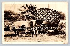 c1942 RPPC Oxen Hauling Pineapples In Honolulu Big Exaggerated Fruit Postcard picture