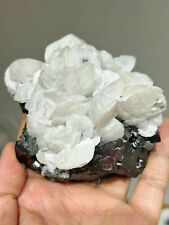 871G Natural Black Big Crystal Magnetite Flaky Flower Calcite Specimen  Mineral picture