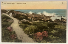 Marginal Way, Ogunquit, Maine ME Vintage Albertype Hand-Colored Postcard picture
