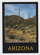 Postcard Arizona Desert In Bloom Mexican Goldpoppy Saguaros Prickly Pear Wild picture