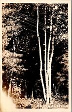 RPPC, Forest View Bemidji MN c1930s Vintage Postcard Q51 picture