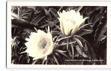Minty Fine Hand-tinted Night Blooming Cereus~RPPC Real Photo Hawaii Postcard -P1 picture