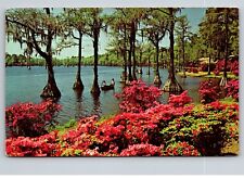 Postcard North Carolina Wilmington Greenfield Gardens c1972 9V picture