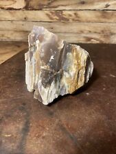 Large Opalized Petrified Wood Display - White, Gold, Brown 2.6 lb From Utah picture