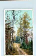 Postcard - Leslie Avenue - Mackinac Island, Michigan picture