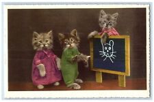 c1910's Anthropomorphic Cute Cat Drawing Board Studio Portrait Antique Postcard picture