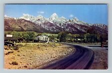 Scenic Drive, Horses, Mountains, Bridge Jackson Hole Wyoming Vintage Postcard picture