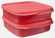 2 x  Tupperware LUNCH-IT Divided Containers WATERMELON Set of TWO New picture