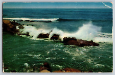 Picturesque View New England Coast Line Rocky Waves Maine 1954 Postcard picture