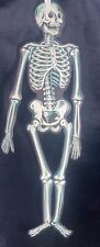 Beistle 33”  Jointed Skeleton Halloween Decoration Vintage. picture