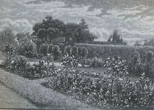 1891 Queen Victoria's Private Gardens at Osborne illustrated picture
