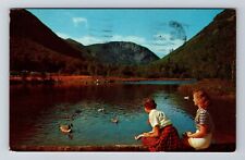Crawford Notch State Park NH-New Hampshire Feeding Ducks c1964Souvenir Postcard picture