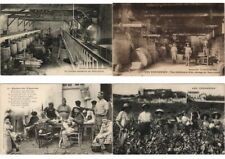 WINE INDUSTRY FRANCE 53 Vintage Postcards (L3730) picture