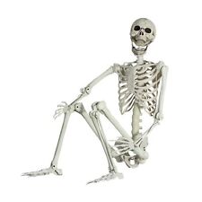 5.4Ft/165cm Posable Halloween Skeleton, Full Body Life Size Skeleton with Mov... picture