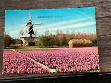 Postcard Netherlands Holland Land of Flowers and Windmills Keukenhof Hyacinths picture