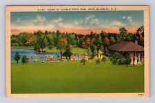 Walhalla SC-South Carolina, Oconee State Park, Antique Vintage Souvenir Postcard picture