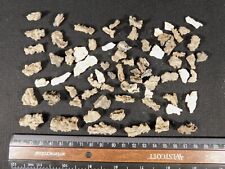 HUGE Lot of 100% Natural FULGURITE s or Petrified Lighting Algeria 31.2gr picture