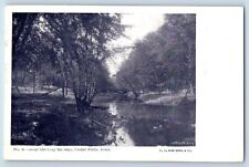 Cedar Falls Iowa IA Postcard Near City Springs Exterior View Lake c1905 Vintage picture