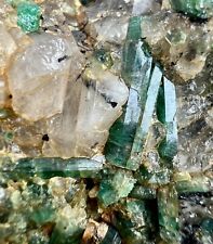 194 GM Well Terminated Top Beautiful Emerald Crystals Round Bunch On Matrix. PAK picture