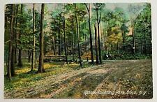 1909 NY Postcard Utica New York Roscoe Conkling-Park path trees scenic view picture