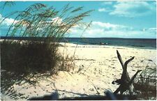 Florida Beautiful White Sandy Beach on Florida's Coasts and Blue Skies Postcard picture