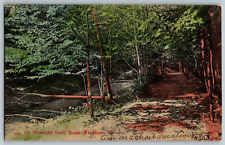 Windham, Maine - On Woodland Stroll - Vintage Postcard - Posted 1906 picture