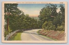 Greetings from Lake Louise Baptist Camp Boyne Falls MI Linen Postcard No 4075 picture