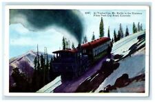 c1920s At Timberline Mt. Baldy in the Distance Pikes Peak Colorado CO Postcard picture