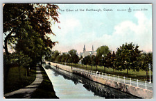 c1910s Eden Carthaugh Cupar England Antique Postcard picture