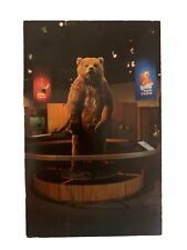 Brown Bear University Of Alaska Museum Postcard picture