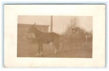 1904-1918 Horse Drawn Carriage Town View RPPC Real Photo picture
