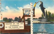 c1940s Theater Of The Sea, Islamadora, Florida Keys Postcard picture