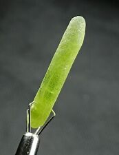 11 CT Natural Peridot Terminated Crystal with nice formation - Pakistan  picture
