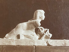 Rare 19th Egyptian Sphinx Cairo Museum Photo Original Albuminated Print picture